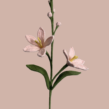 Mars Orchid