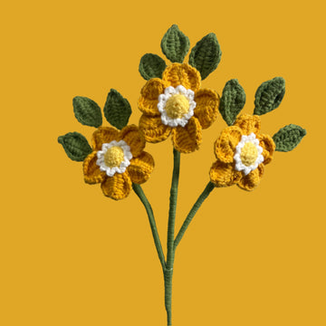 Dog Rose