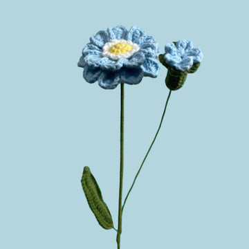 Double Zinnia Glow