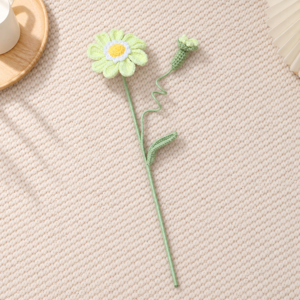 Single-Layer Zinnia