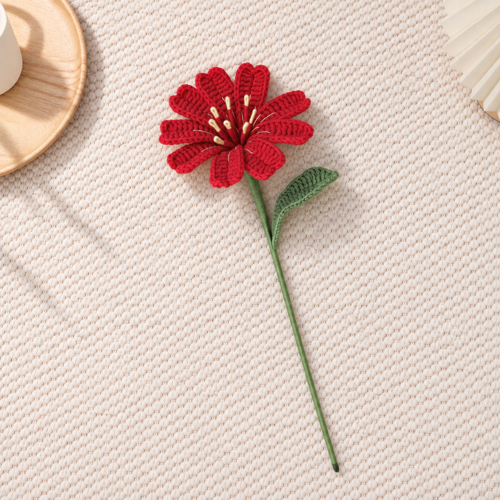 Lewisia