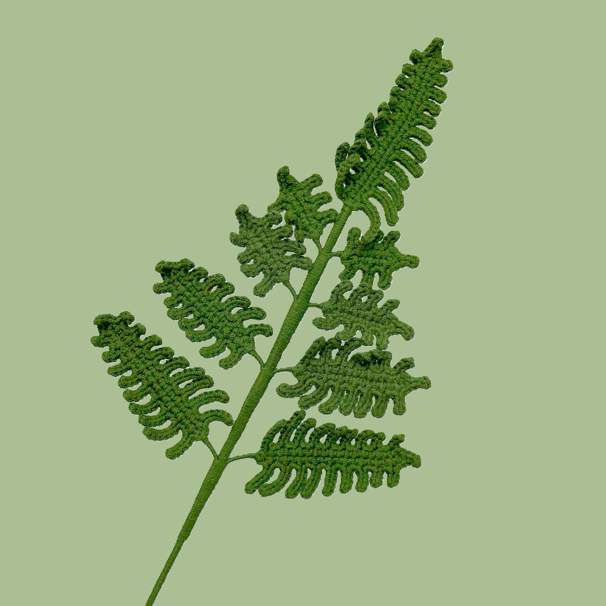 Large Fern Leaves