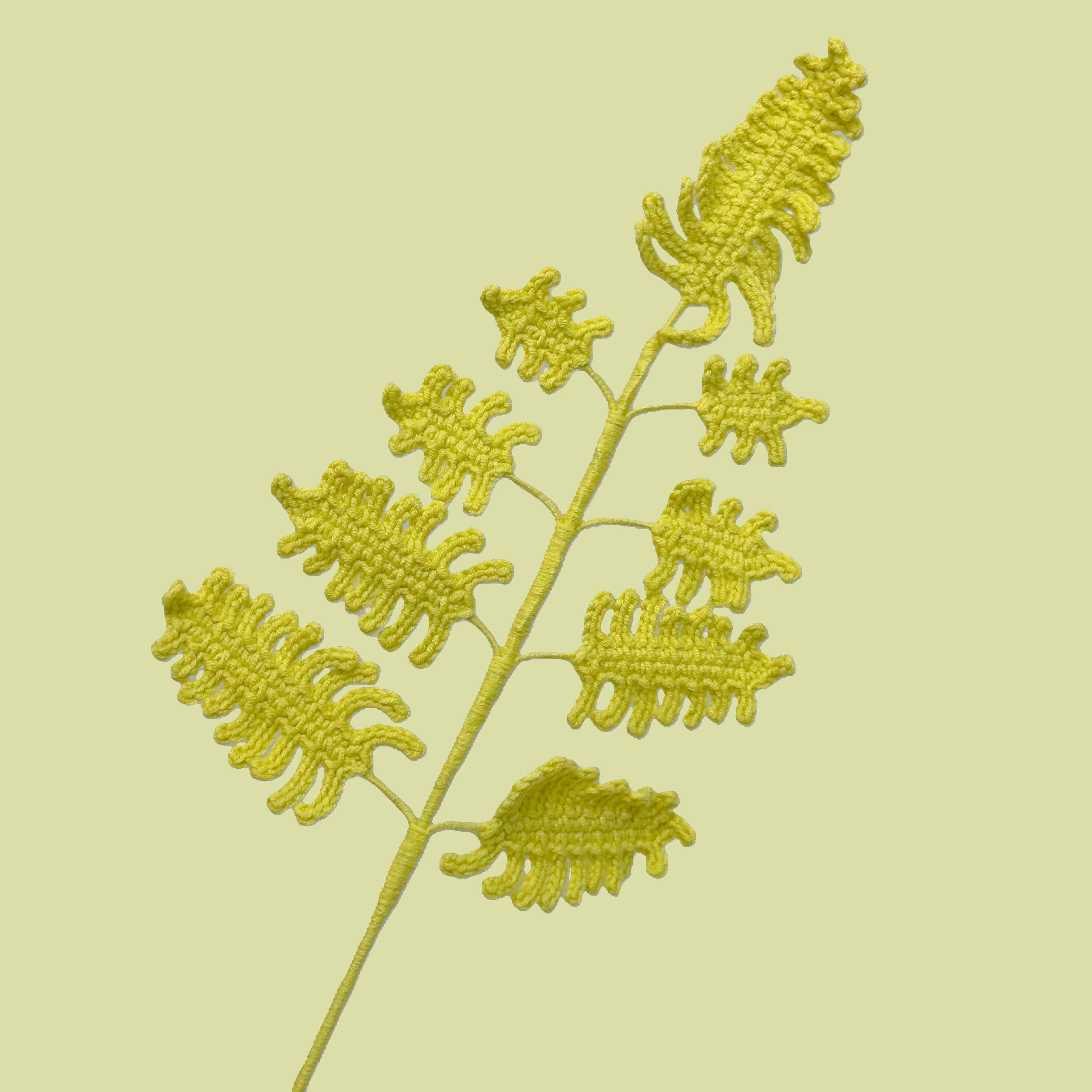 Large Fern Leaves