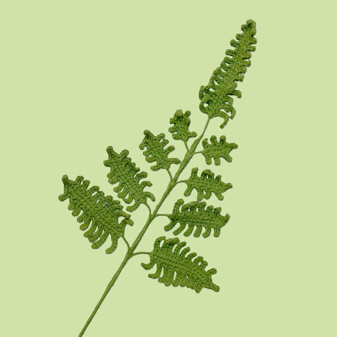 Large Fern Leaves