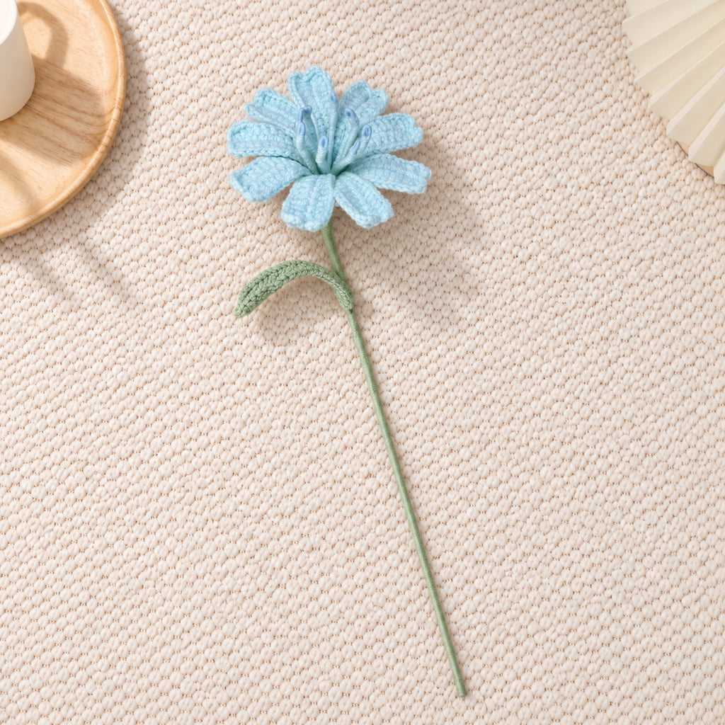 Lewisia