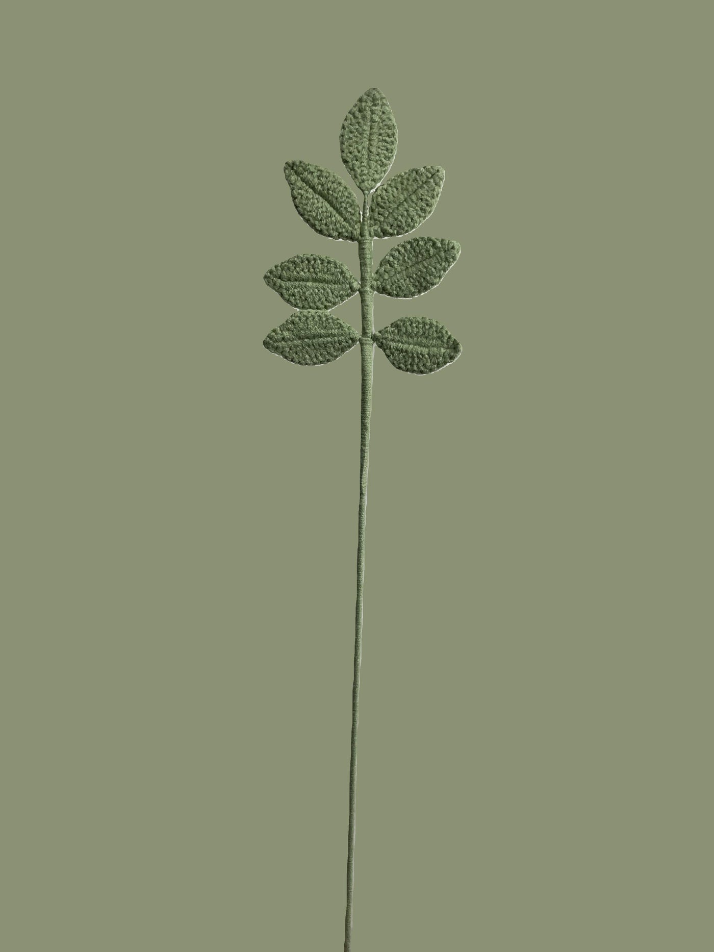 Evergreen Leaves