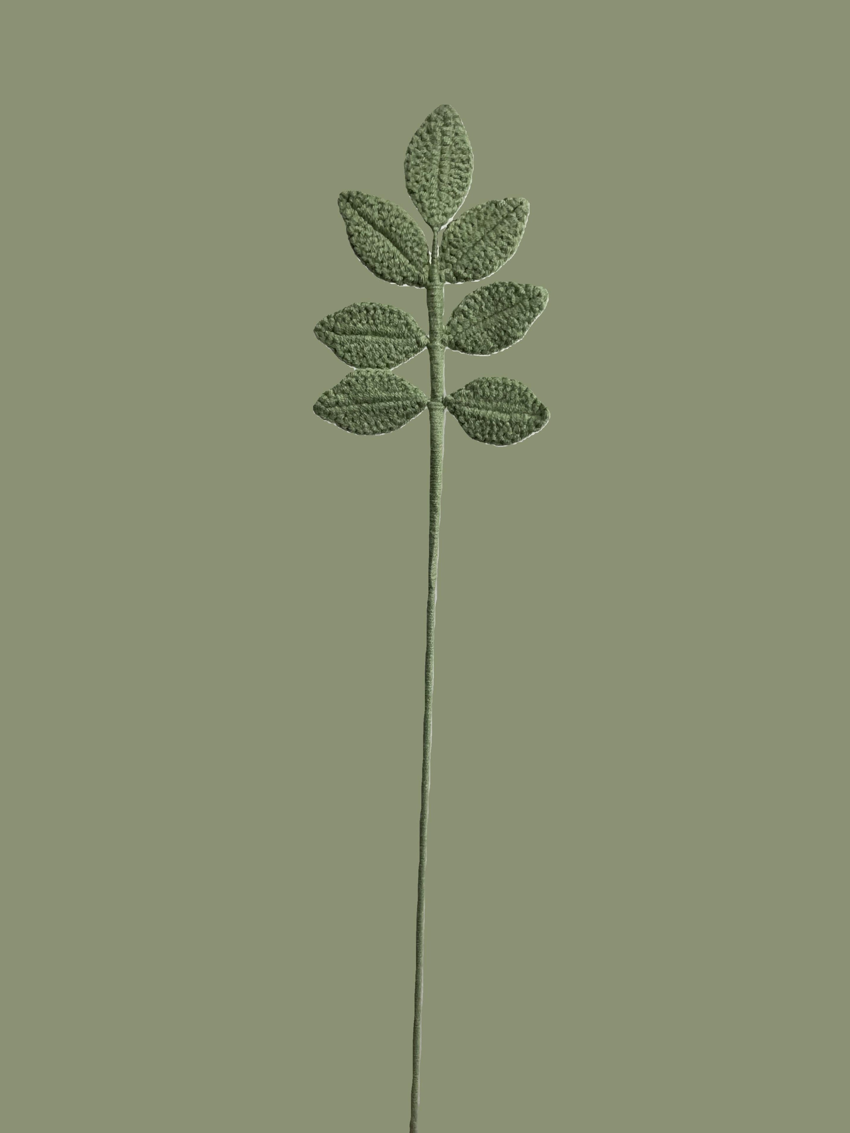 Evergreen Leaves