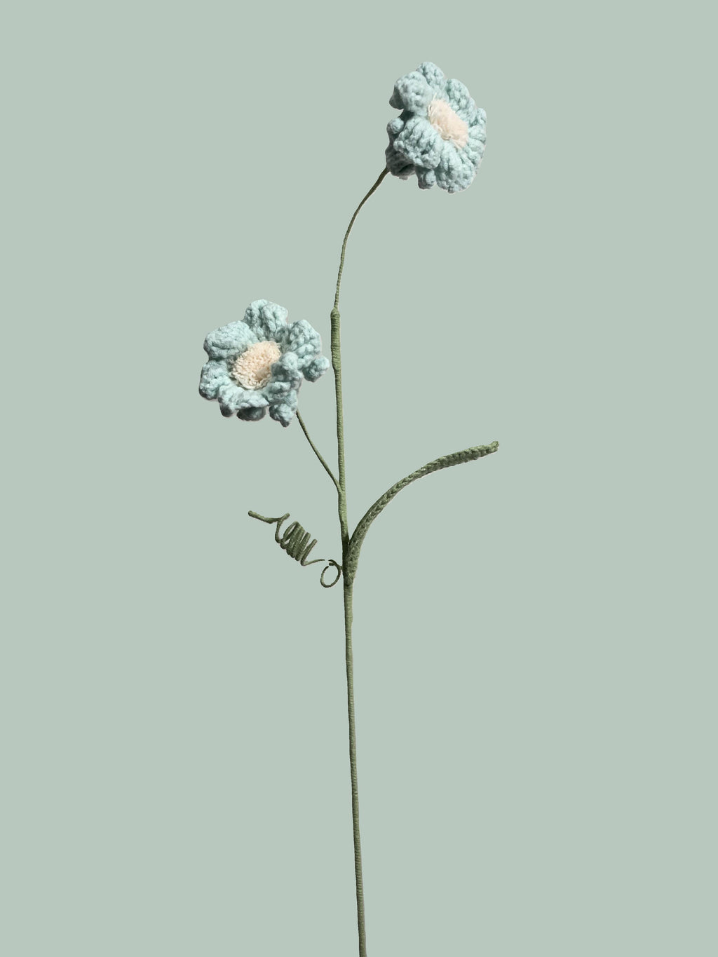 Daffodil