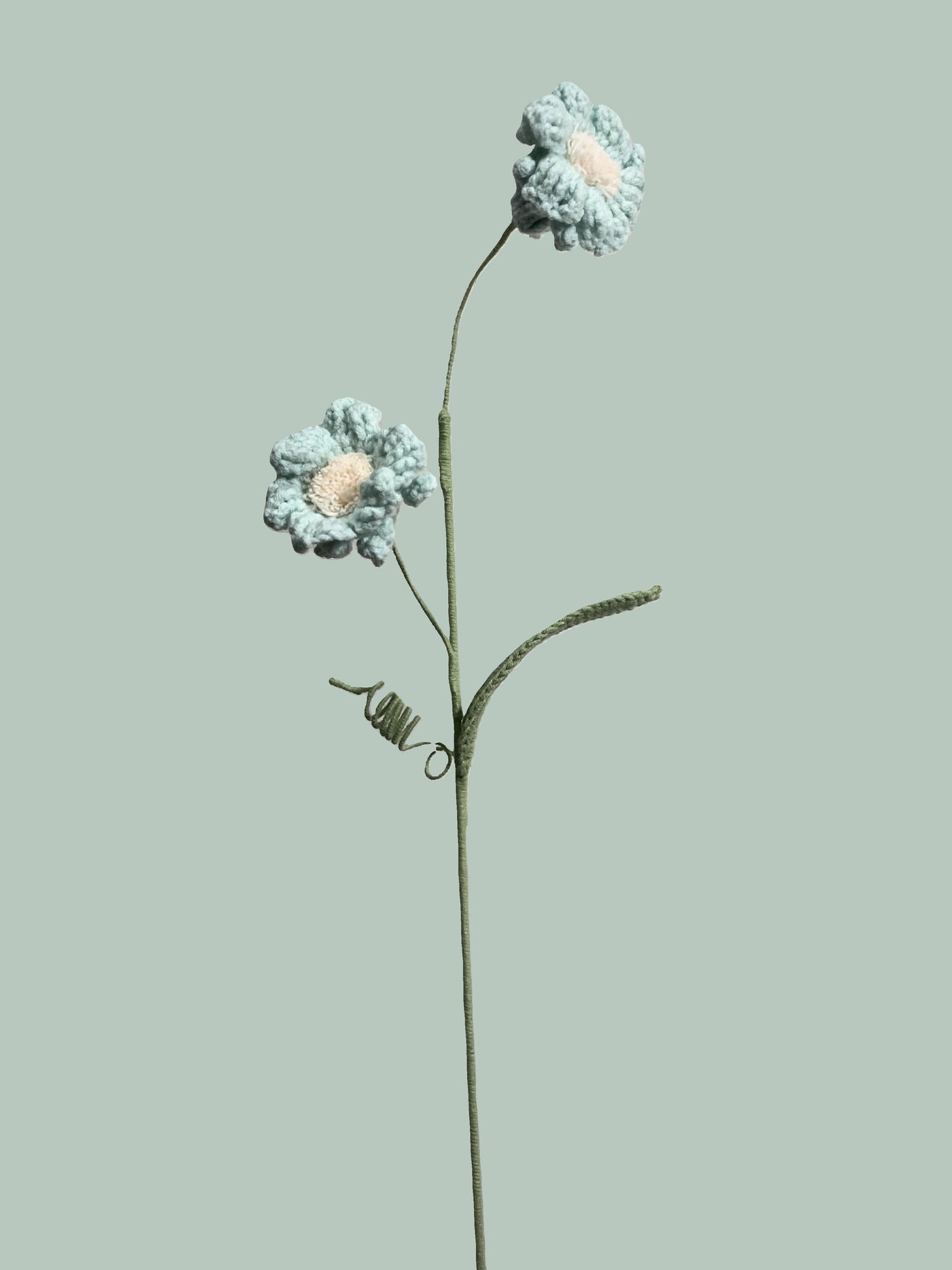 Daffodil