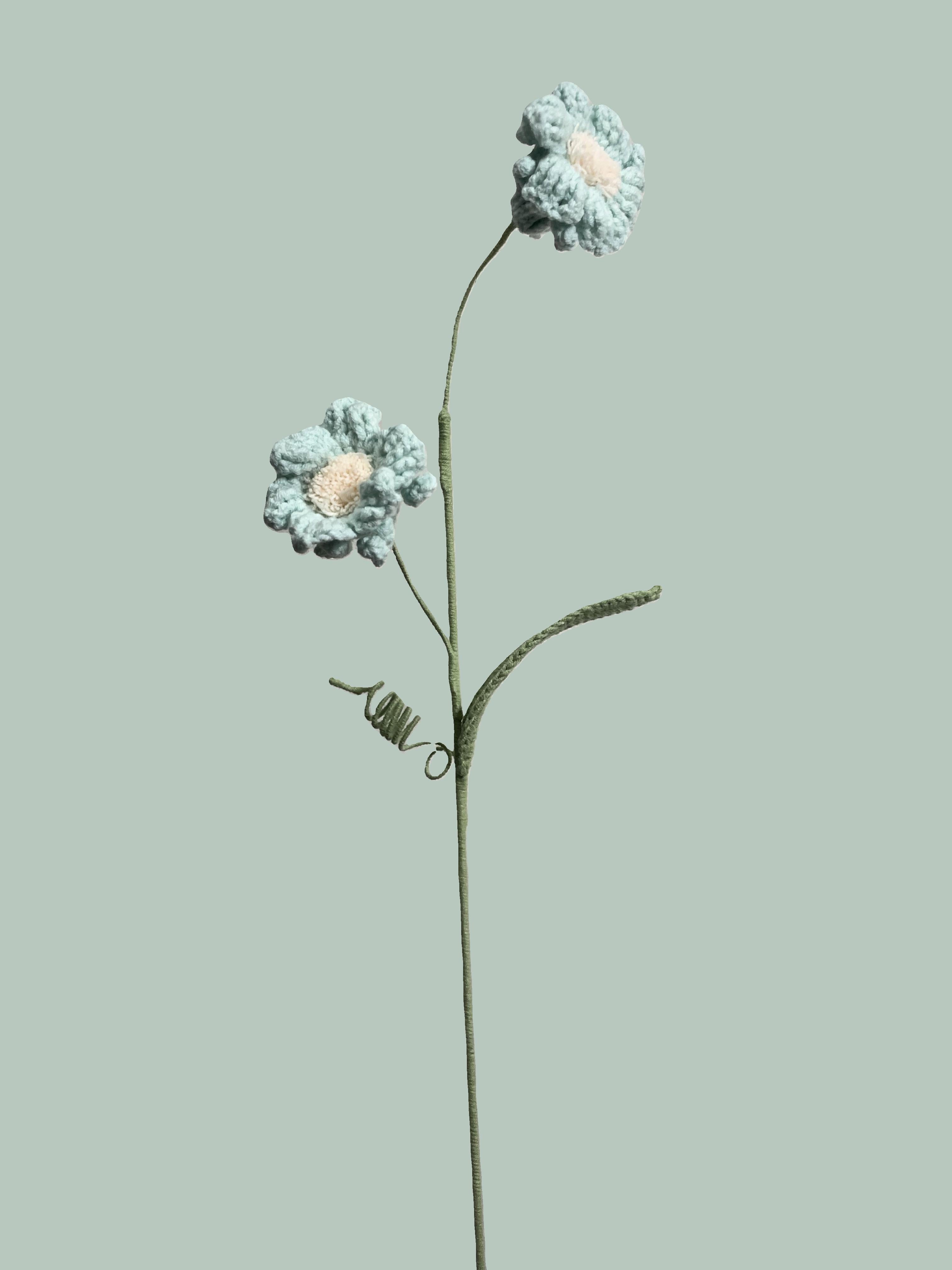 Daffodil
