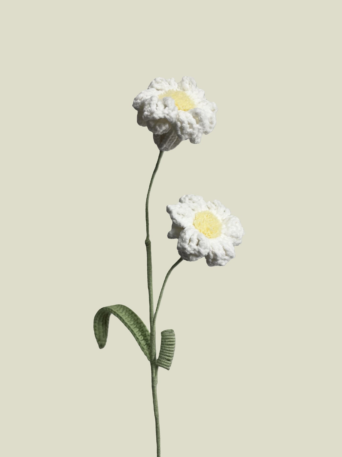 Handmade crochet daffodil flower in white yarn, perfect for eco-friendly home decor and gifting
