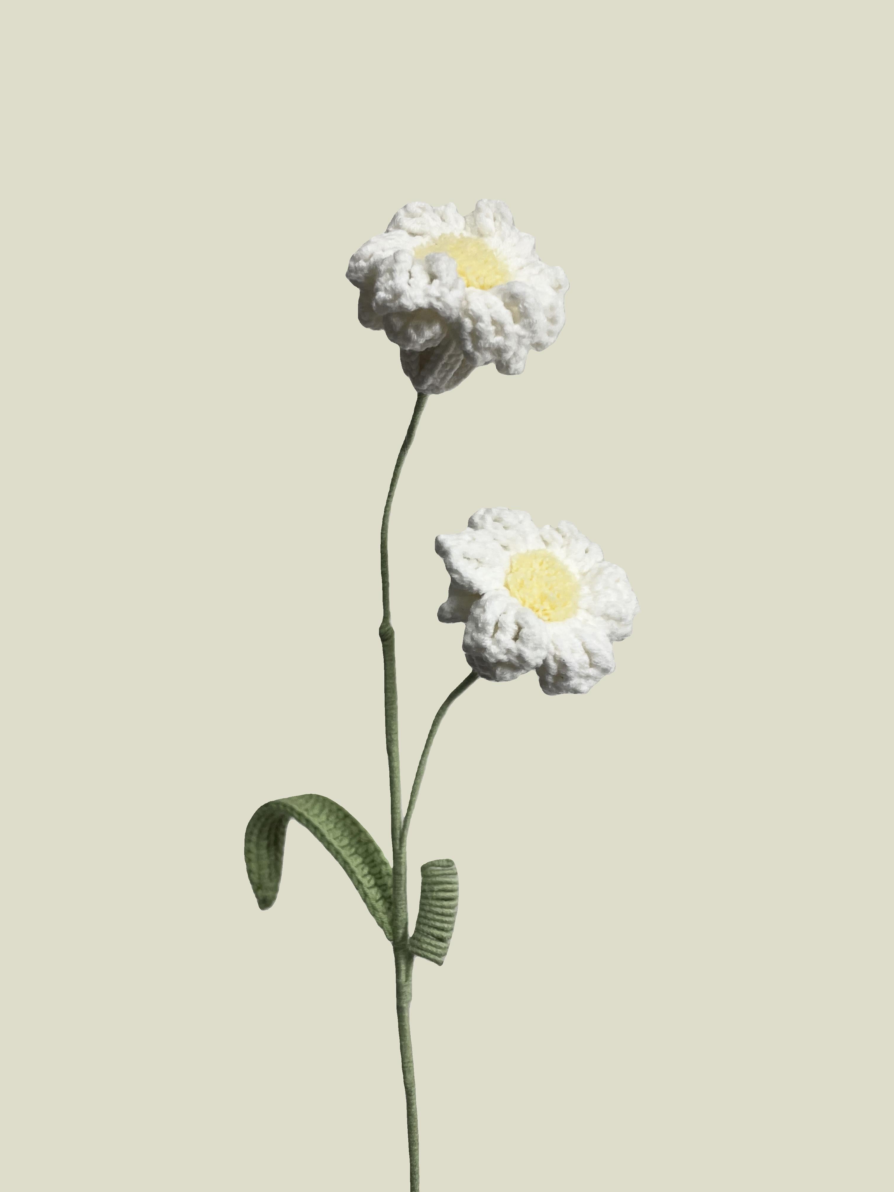 Handmade crochet daffodil flower in white yarn, perfect for eco-friendly home decor and gifting
