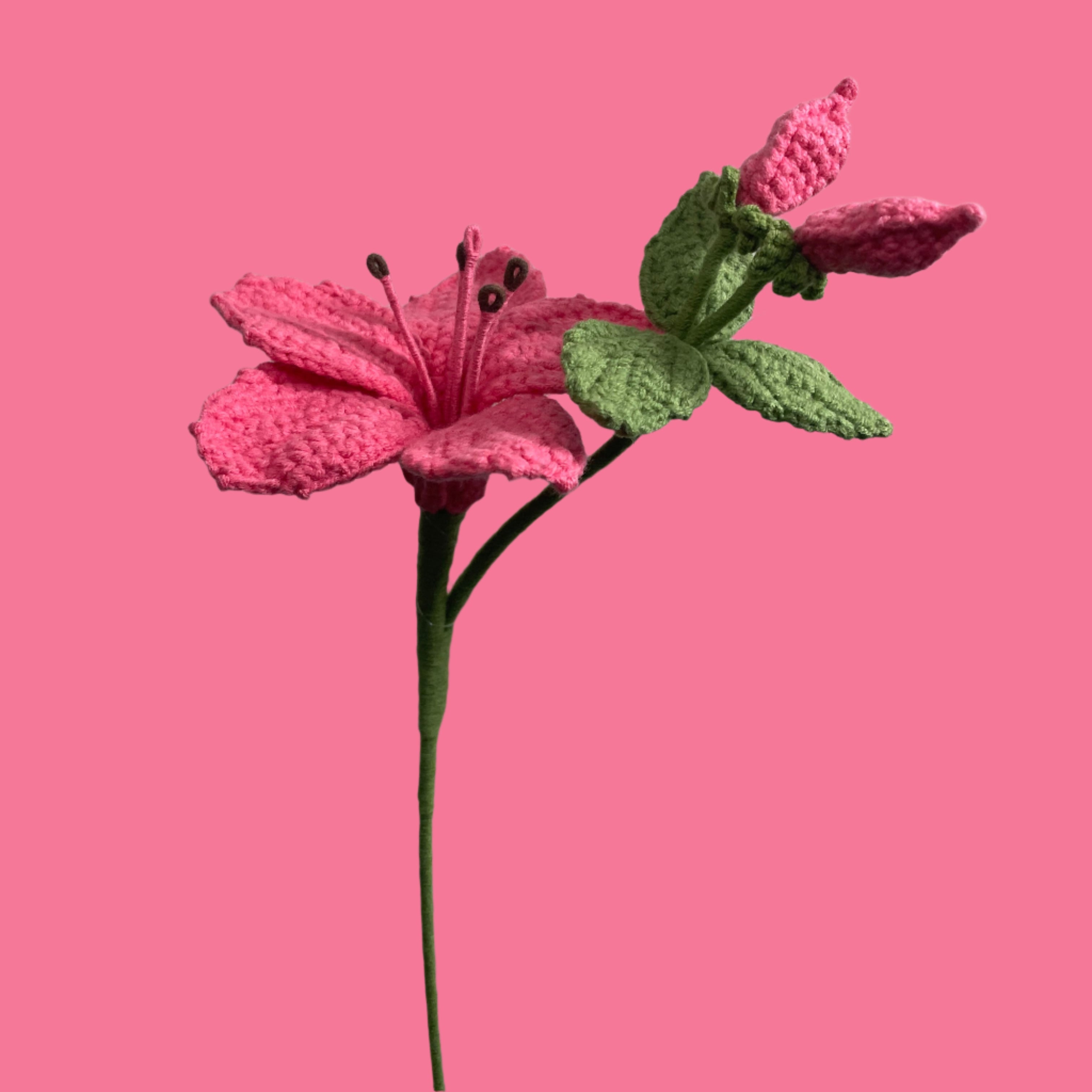 Azalea