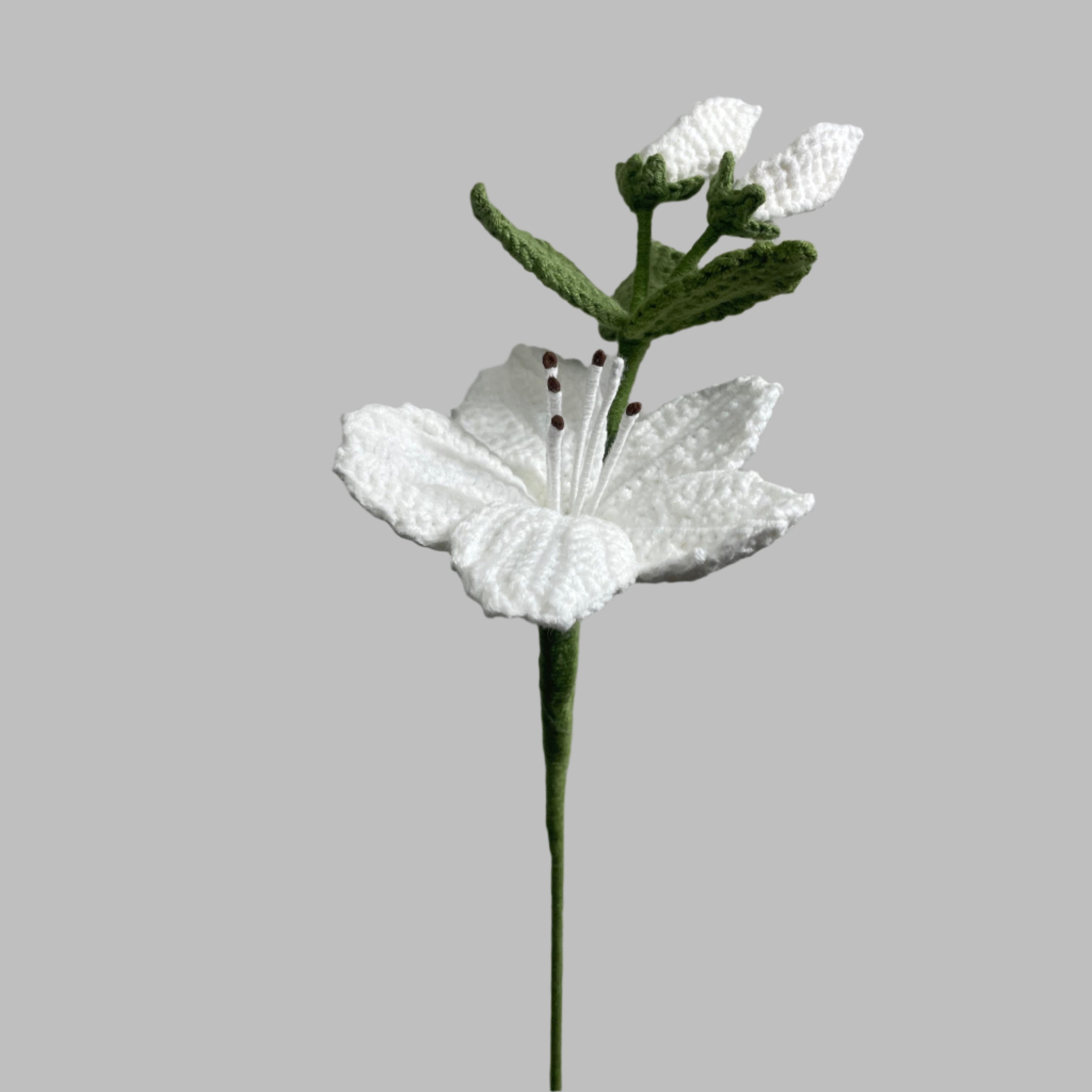 Azalea