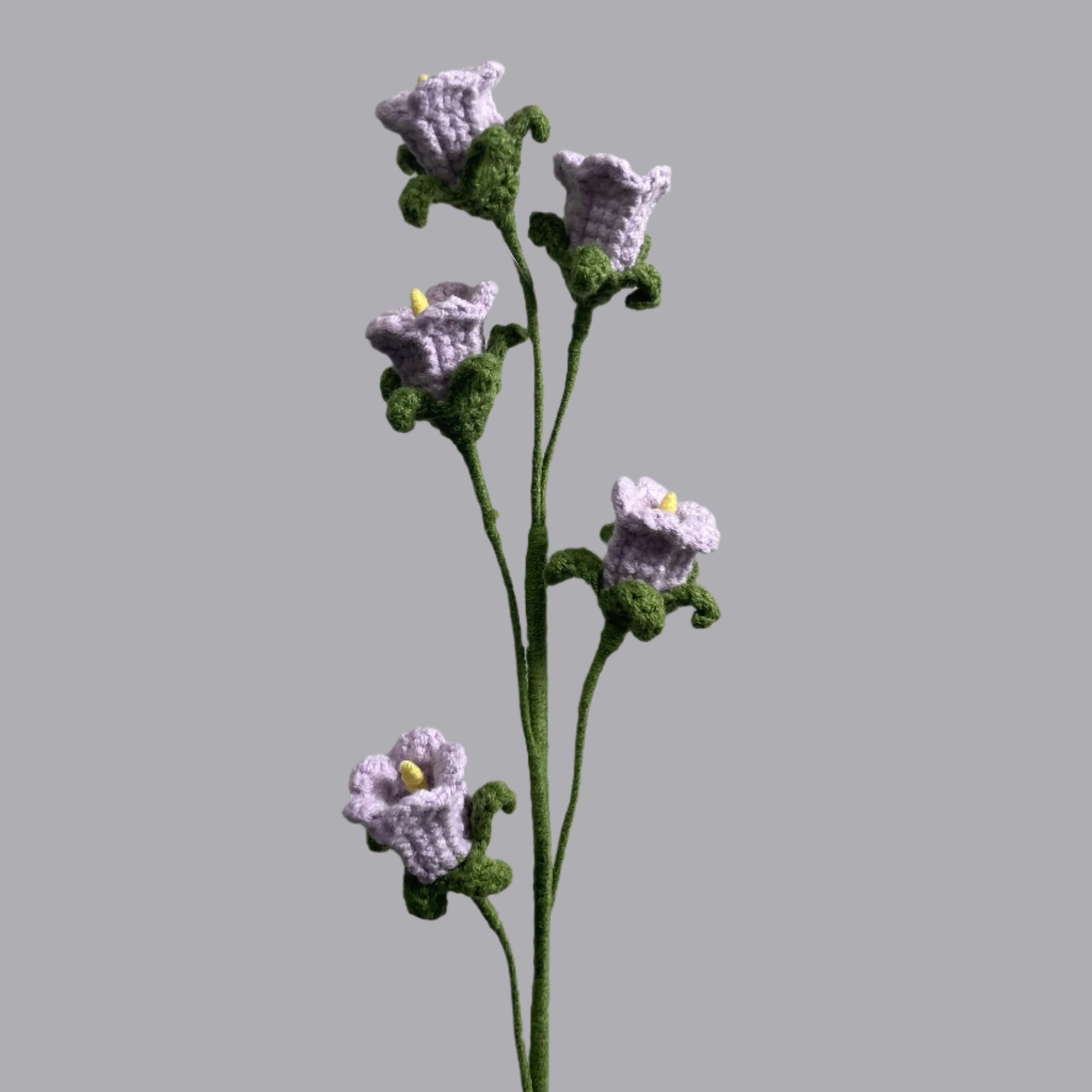 Bellflower