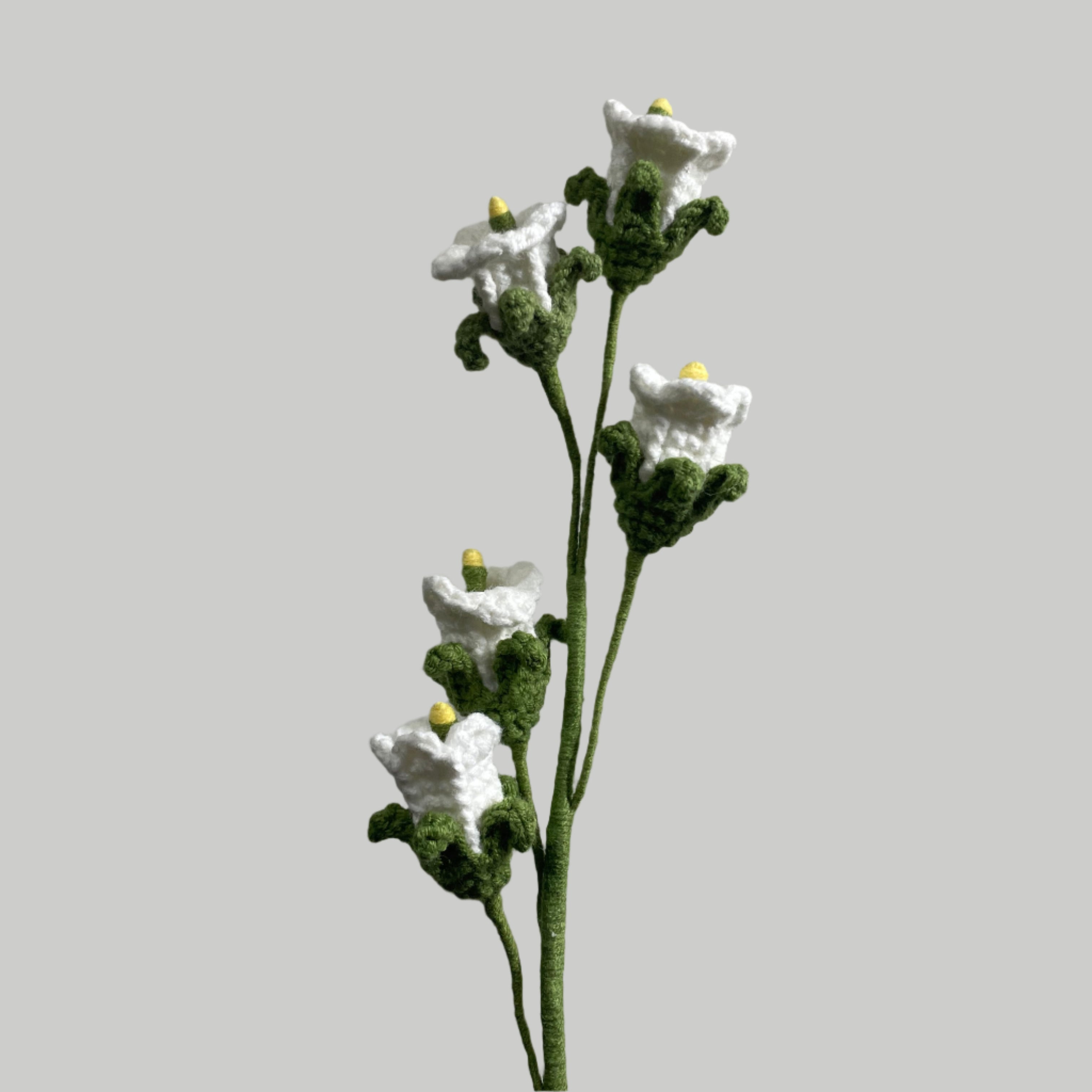 Bellflower