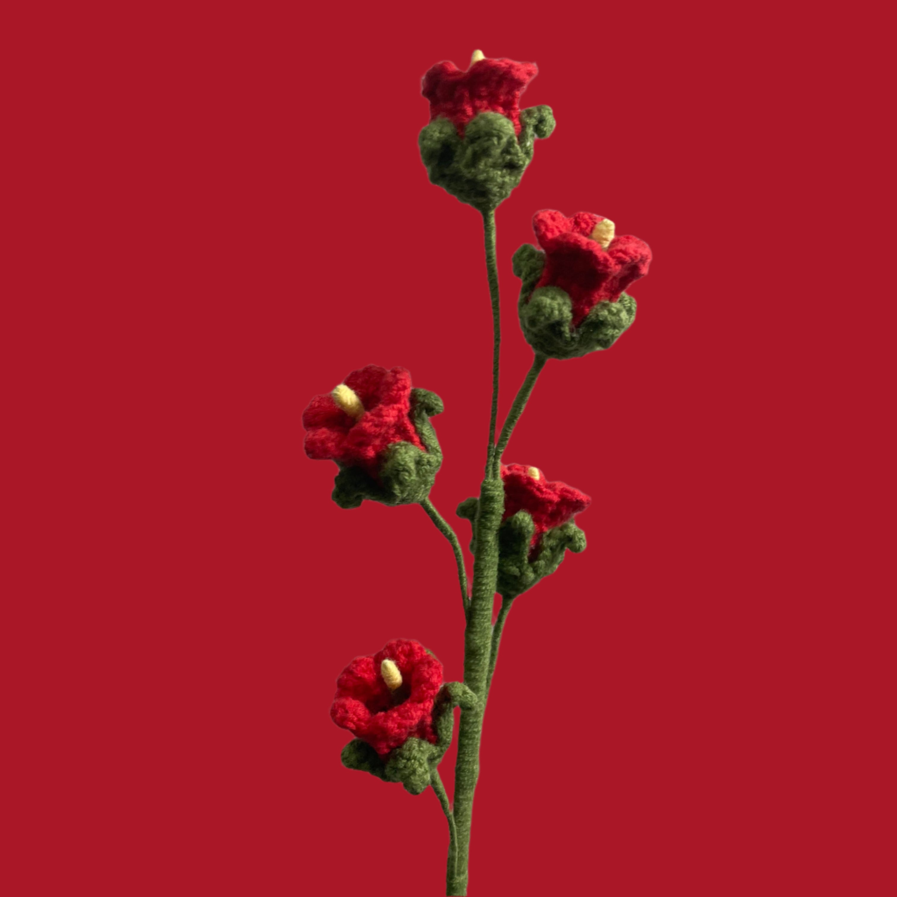 Bellflower