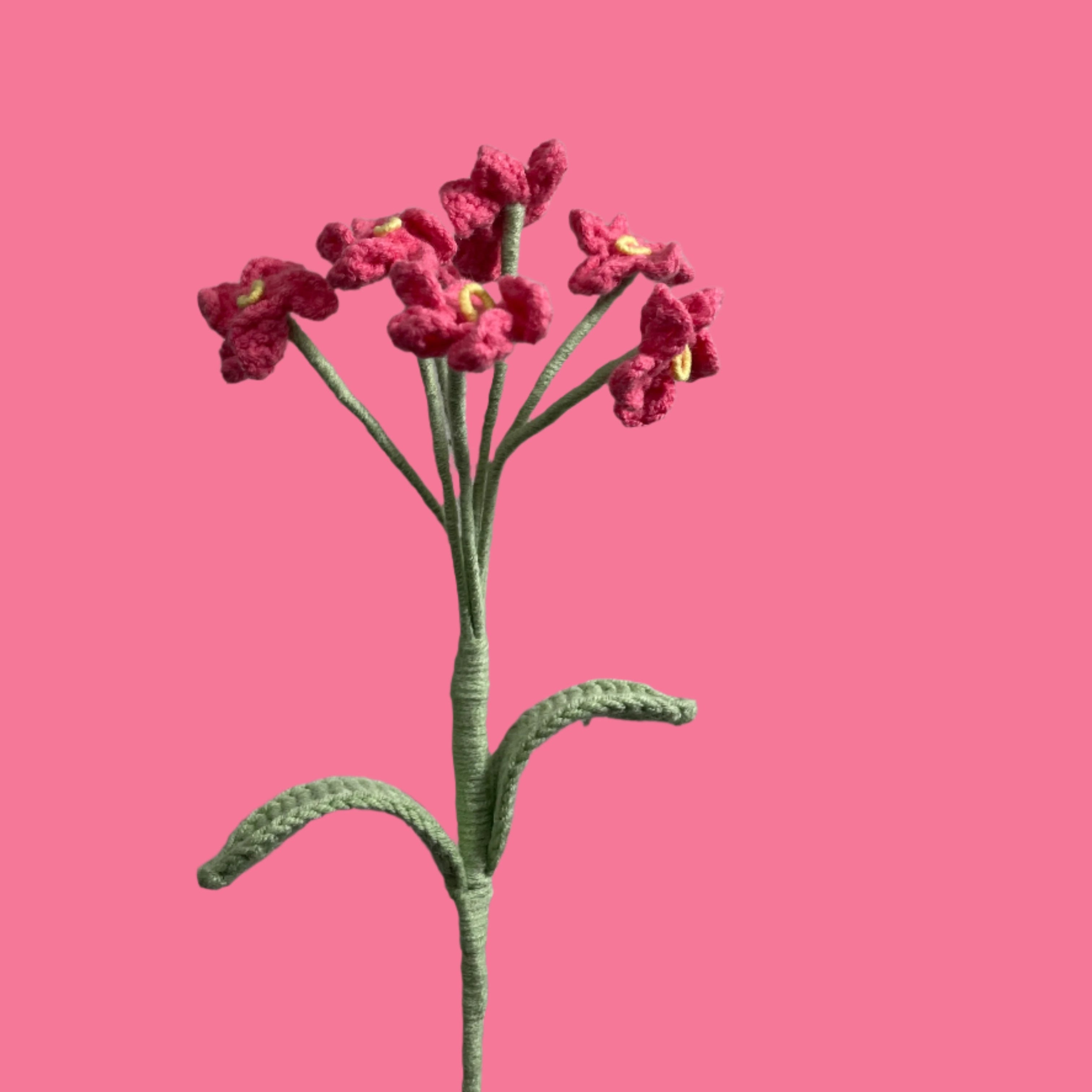 Forget-Me-Not
