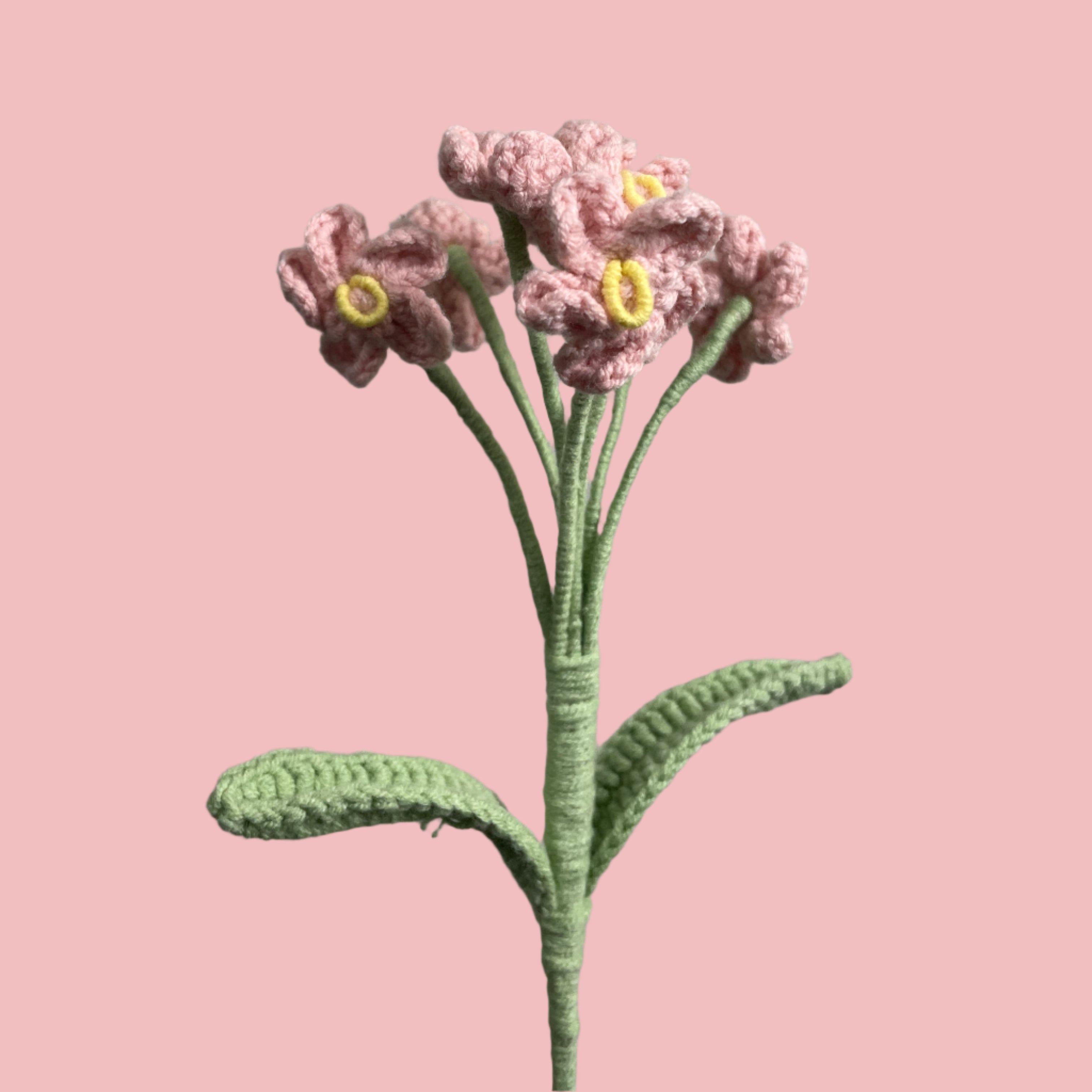 Forget-Me-Not