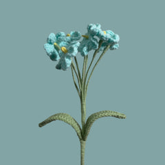 Forget-Me-Not
