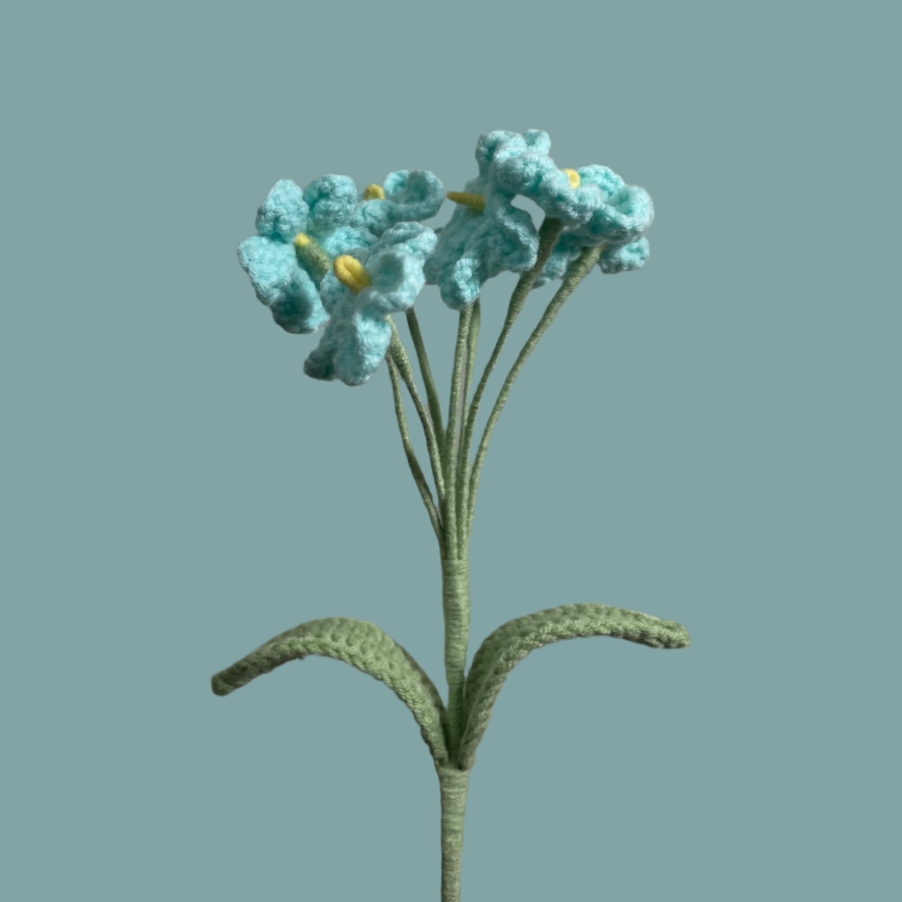 Forget-Me-Not