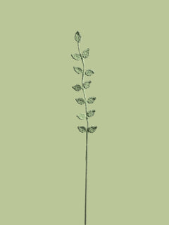 Twisty Leaf Whimsy