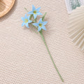 Rain Lily