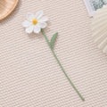 Cosmos