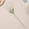 Fountain Grass